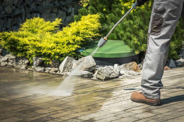 Trusted Davis, CA Pressure Washing Services Experts