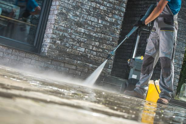 Best Graffiti Removal  in Davis, CA